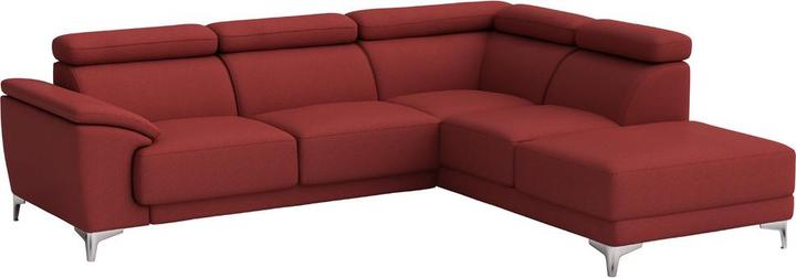 Cat. 6, Florida Rosso