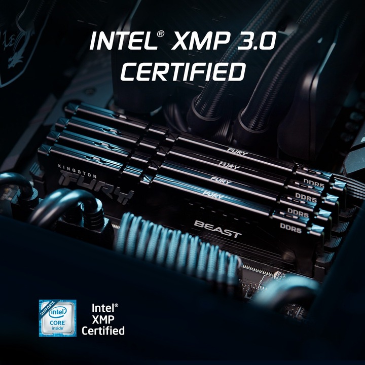 Actual product image Kingston FURY Beast (1 x 16GB, 6000 MHz, DDR5 RAM, DIMM)