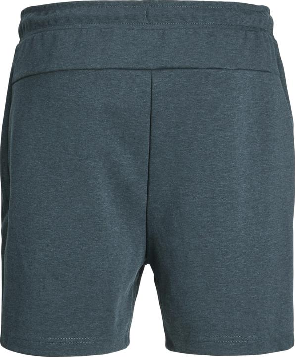 Produktbild Jack & Jones Regular Fit Regular Fit Shorts Regular Fit Shorts (XXL)