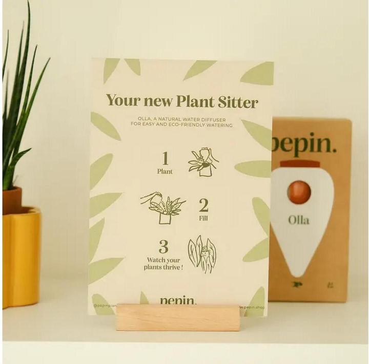 Actual product image Pepin Olla (Clay cone)