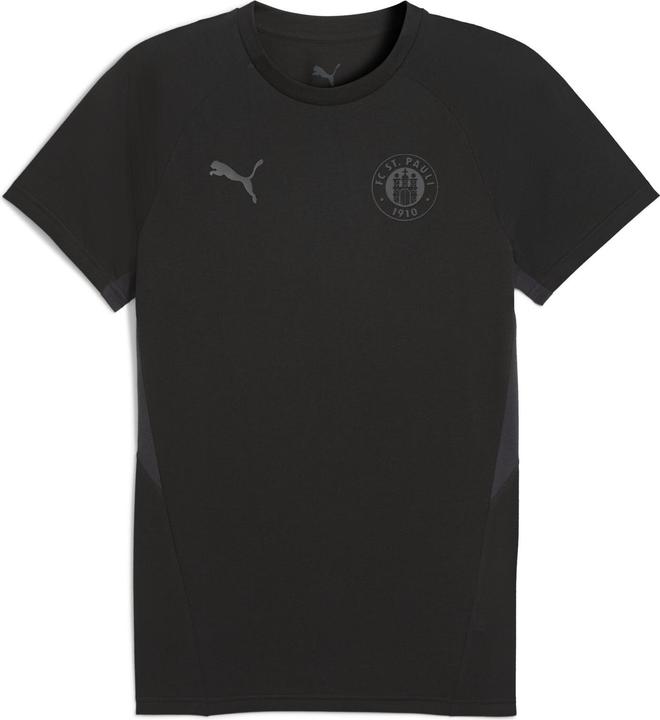 Actual product image Puma Fcsp Evostripe Tee (M)