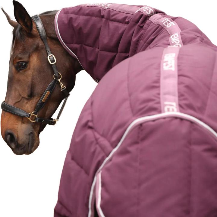 Immagine prodotto Tempest Original Collo Combo Tappeto da Stalla per Cavalli e Collo (175 cm)