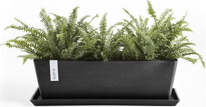 Actual product image Ecopots Saucer Rectangular