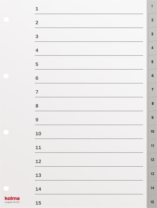 Actual product image Kolma Register A4 superstrong 1-15 15-piece grey