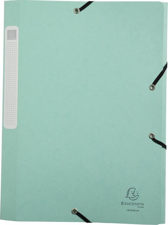 Actual product image Exacompta Archive boxes (A4, 25 mm)