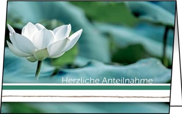 Productafbeelding Sigel 10 Rouwkaarten Waterlelie DIN A6