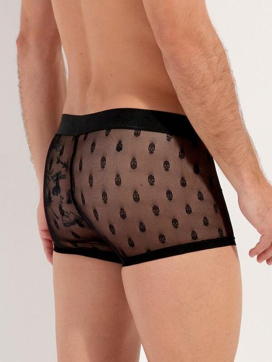 Immagine prodotto HOM Trunk Dark (L, Confezione singola)