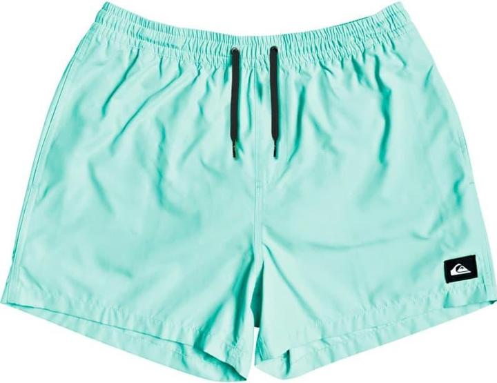 Image du produit Quiksilver Everyday Volleys (L)