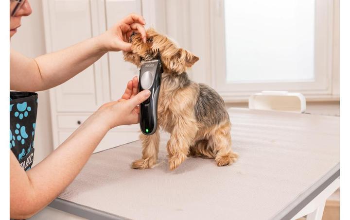 Actual product image Wahl Easy Pro+ Professional pet hair clipper 3028623 (Dog)