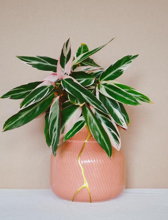 Actual product image Mora Approved DIY Kintsugi Repair Kit