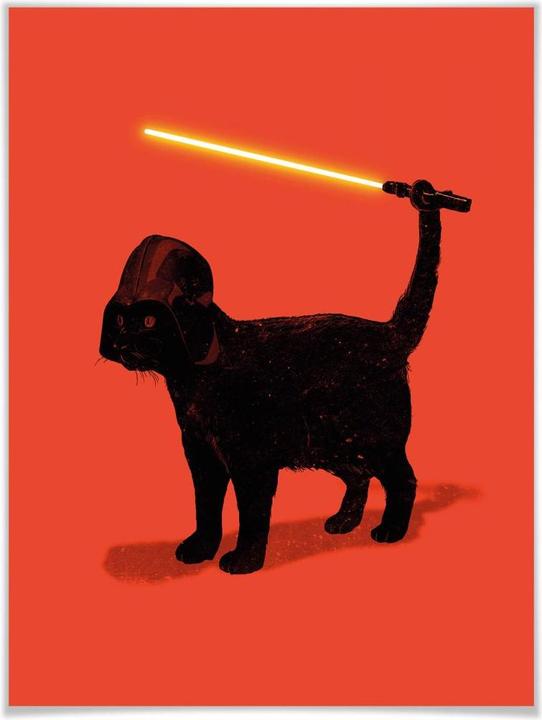 Image du produit Trenddeko Cat Vader (50 x 60 cm)