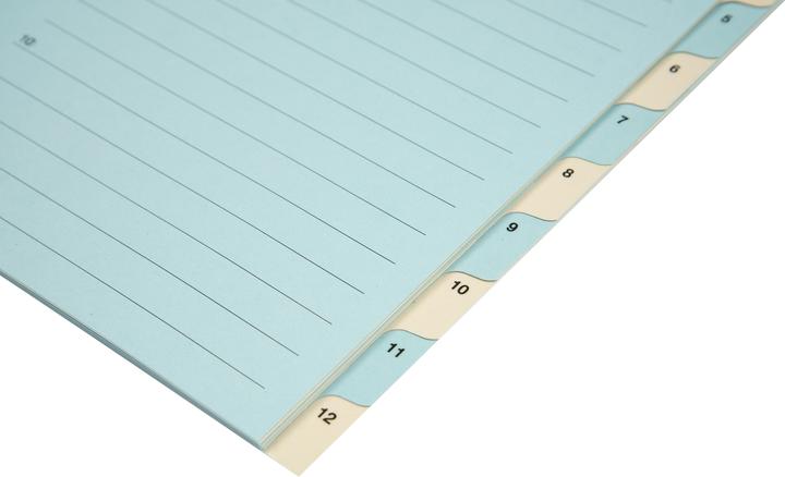 Produktbild Biella Register Karton farbig