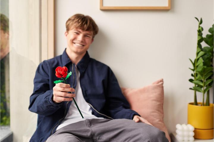 Produktbild Zuru MAX Rose