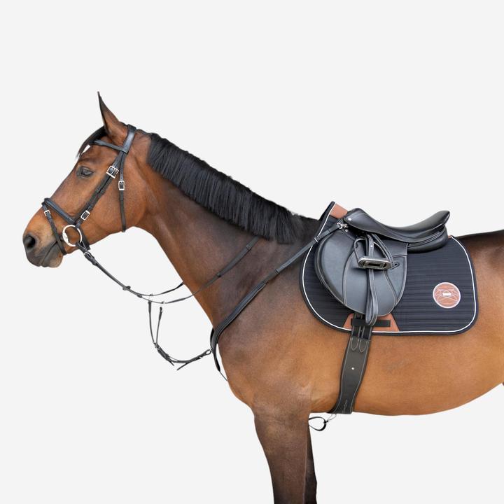 Produktbild Fouganza Vorderzeug 3-Punkt Pferd Leder