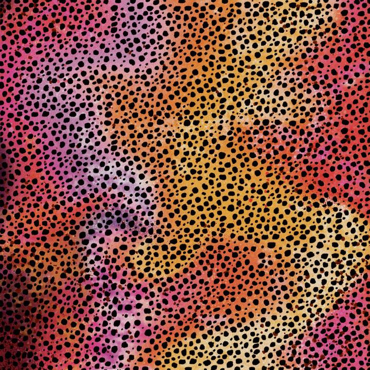 Produktbild Cricut Infusible Ink Transfer Sheets 2-pack (Rainbow Cheetah)