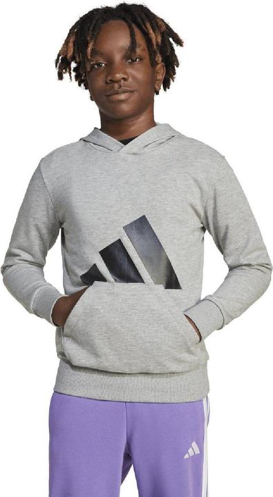 Produktbild adidas Essentials Kapuzenpullover (128)