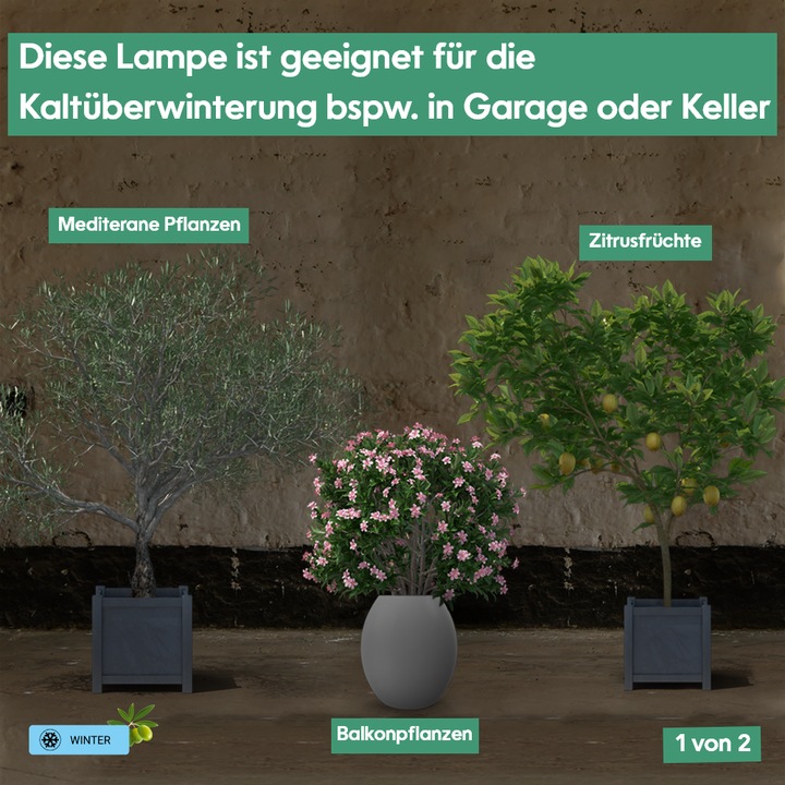 Actual product image Parus by Venso plant fitting GrowLight Quattro 60W, stimulation of photosynthesis and chlorophyll fo (LED, 245 V)