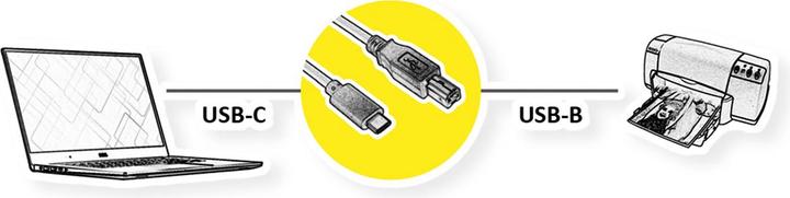 Actual product image Roline USB type C - USB B (1.80 m, USB 2.0)