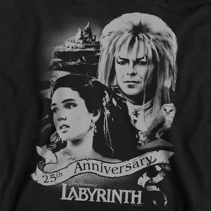 Produktbild Sweatshirt Jubiläum (M)