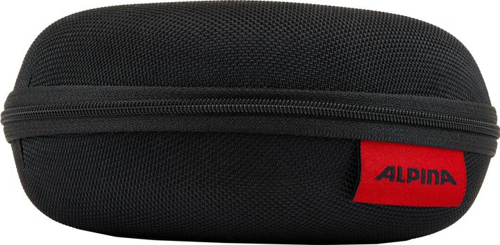 Alpina Case