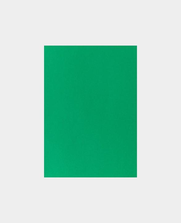 Actual product image Photo cardboard A4, fir green (270 g/m², 1 x)