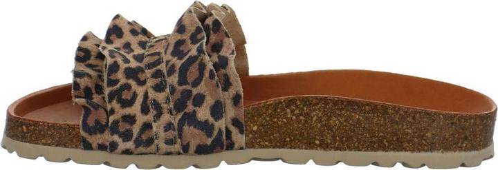 Image du produit Verbenas Rocio (41)