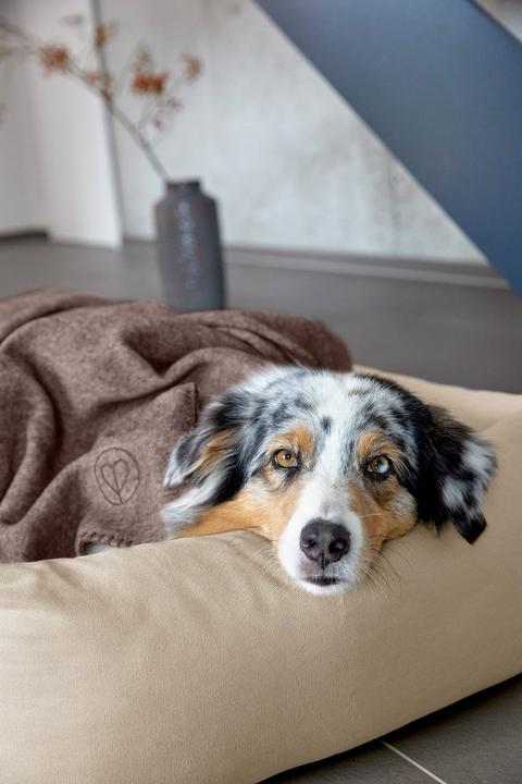 Image du produit Palopa Couverture pour chien