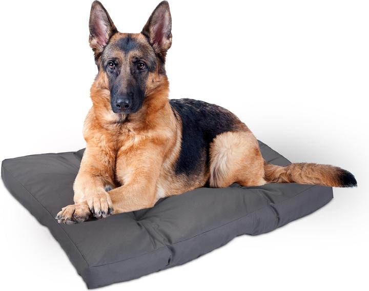 Immagine prodotto Relaxdays Cuscino per-cani (Cane, Gatto)