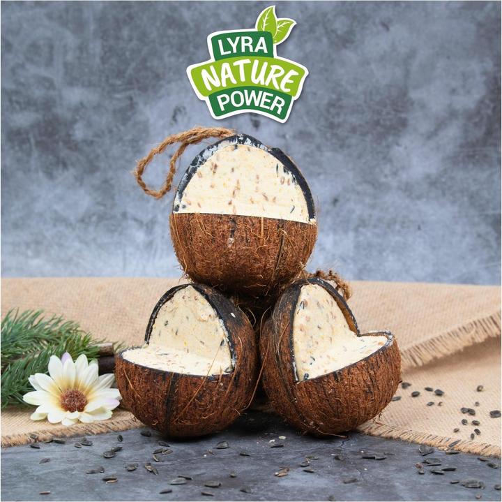 Actual product image Lyra Pet Whole coconut V-Cut filled (4 x)