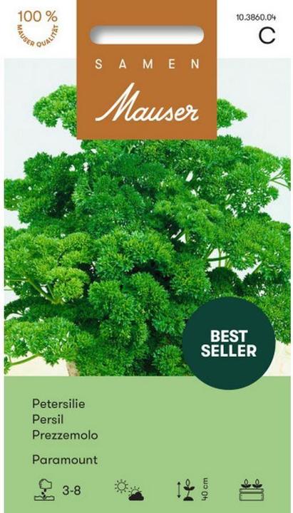 Produktbild Samen Mauser Petersilie Paramount (Kräutersamen)