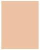 Actual product image Sisley Phyto-Teint Ultra Éclat (1 Ivory)