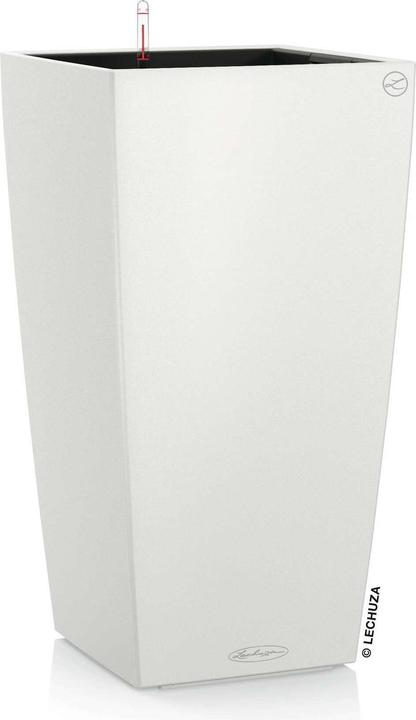 Lechuza Cubico Color (39.50 cm)