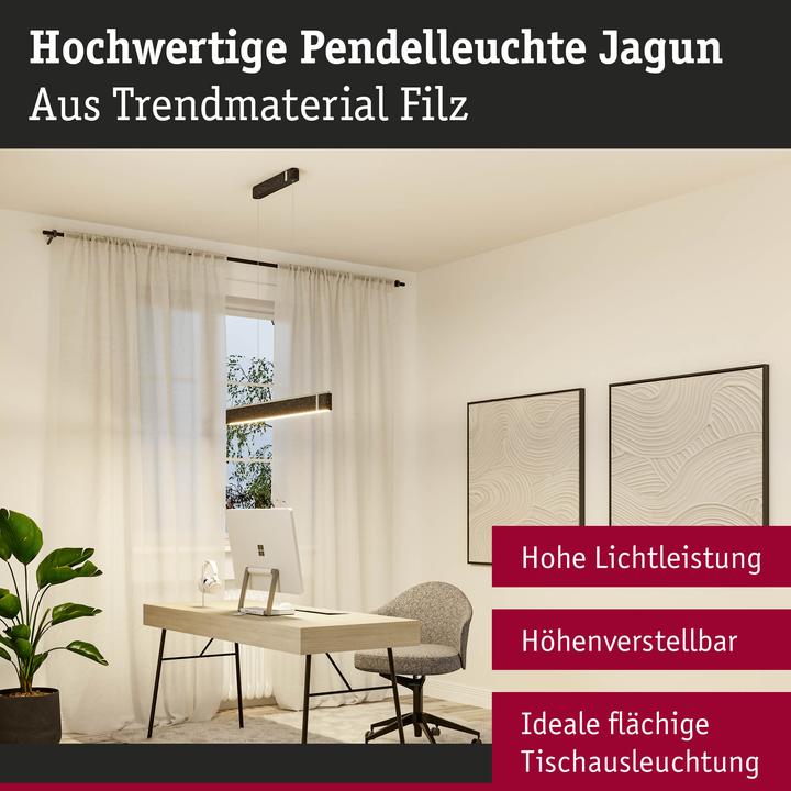 Actual product image Paulmann Jagun (2500 lm)