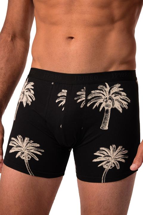 Image du produit JP1880 Lot de 2 boxers JP 1880 FLEXNAMIC®, OEKO-TEX, sous-vêtements - jusqu'au 8 XL (3XL, lot de 2)