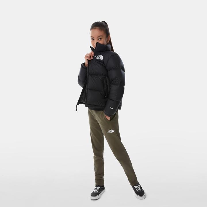Actual product image North Face Nuptse down jacket (L)