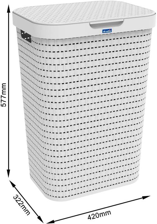 Immagine prodotto Rotho Country (55 l)