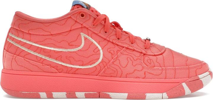 Image du produit Nike Book 1 Sedona (46)