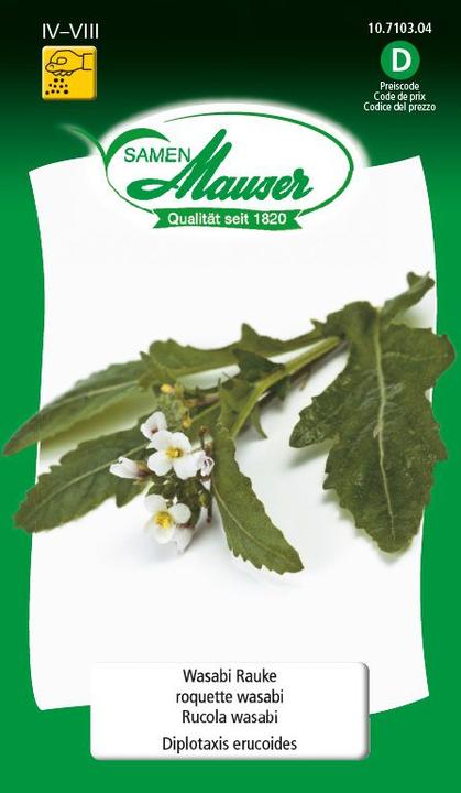 Produktbild Samen Mauser Wasabi Rauke (Kräutersamen)