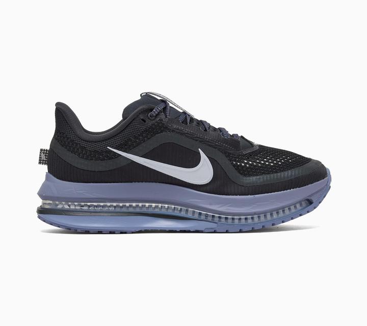 Image du produit Nike Air Zoom Pegasus Premium Anthracite (47)