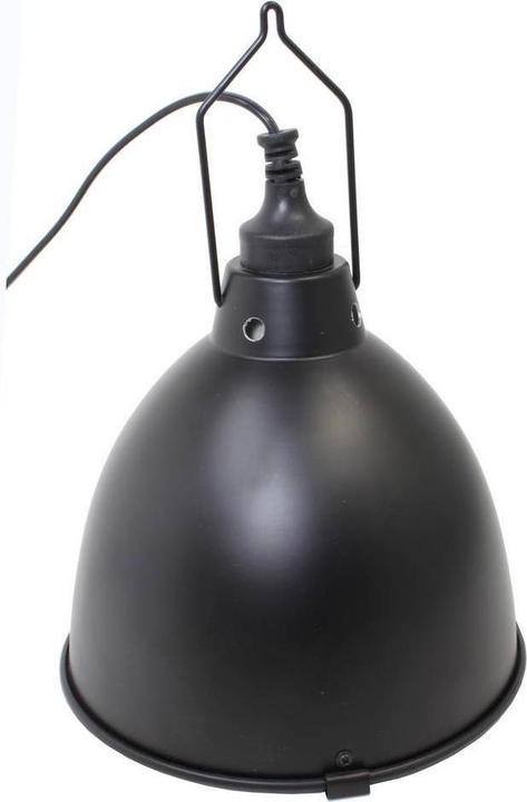 Reptiles-Planet Reptidome