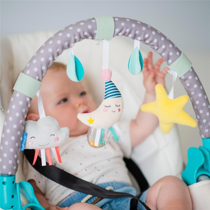 Actual product image Taf Toys Mini Moon