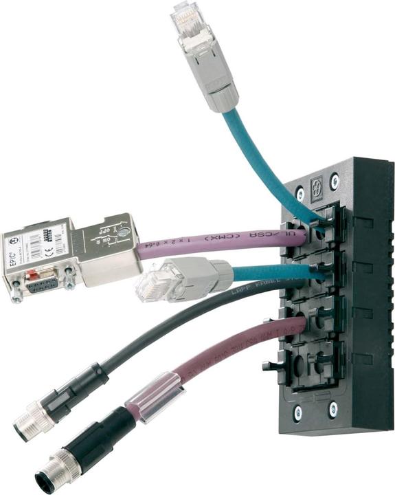 Immagine prodotto Lapp Ingresso cavi Ø terminale (max.) (Foro cavo, 4 cm)
