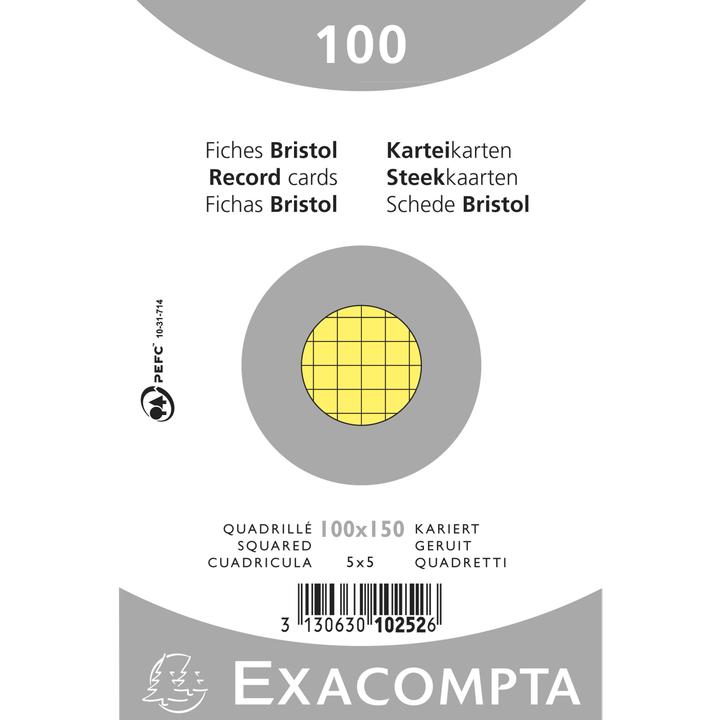 Image du produit Exacompta Cartes-fiches quadrillées (74 x 105 mm, 100x, 205 g/m²)