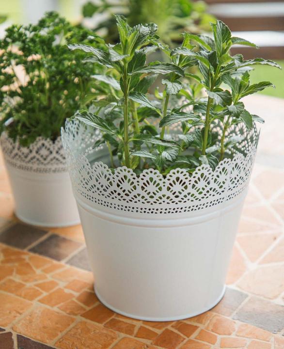Produktbild Esmée Blumentopf, Übertopf mit Spitzen, Blech (20 cm)