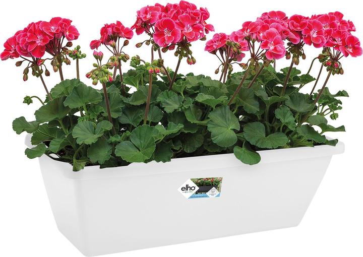 Actual product image Elho Barcelona (20 cm)