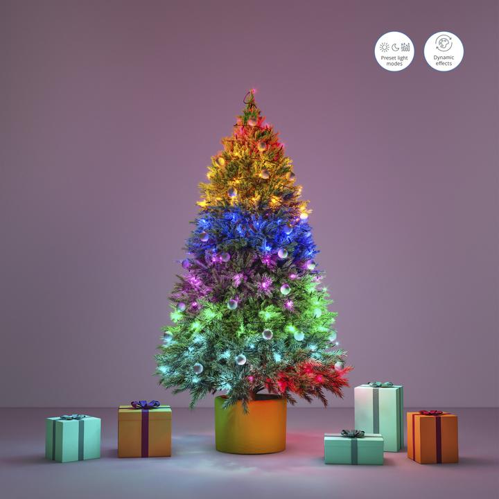 Produktbild WiZ Fairy Light Color Outdoor (20 m)