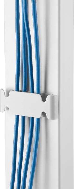 Actual product image Reflecta TV Stand 80 Super Slim (80", 40 kg)