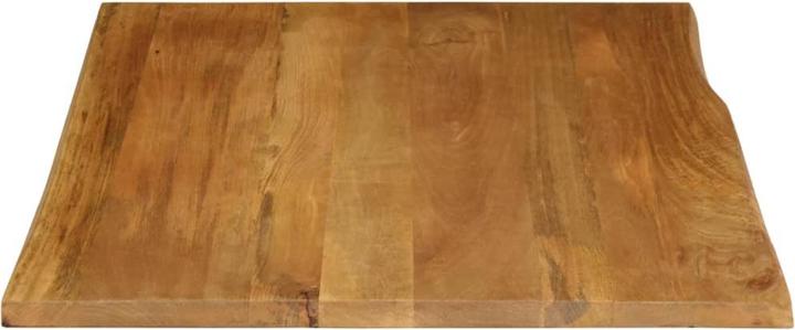 Image du produit vidaXL Tischplatte (100 x 80 cm)