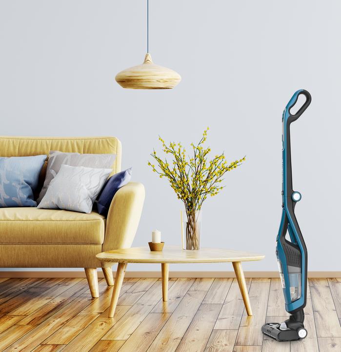 Actual product image Rowenta RH6751 WH Dual Force