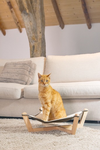 Image du produit Designed by Lotte Gaia (Chat)